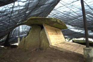 Dolmen de Dombate